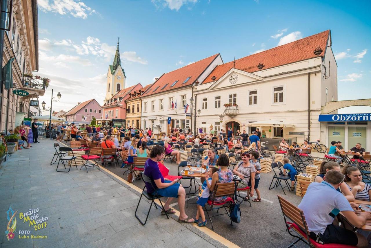 Hotel Cateski Dvorec Catez ob Savi Bagian luar foto